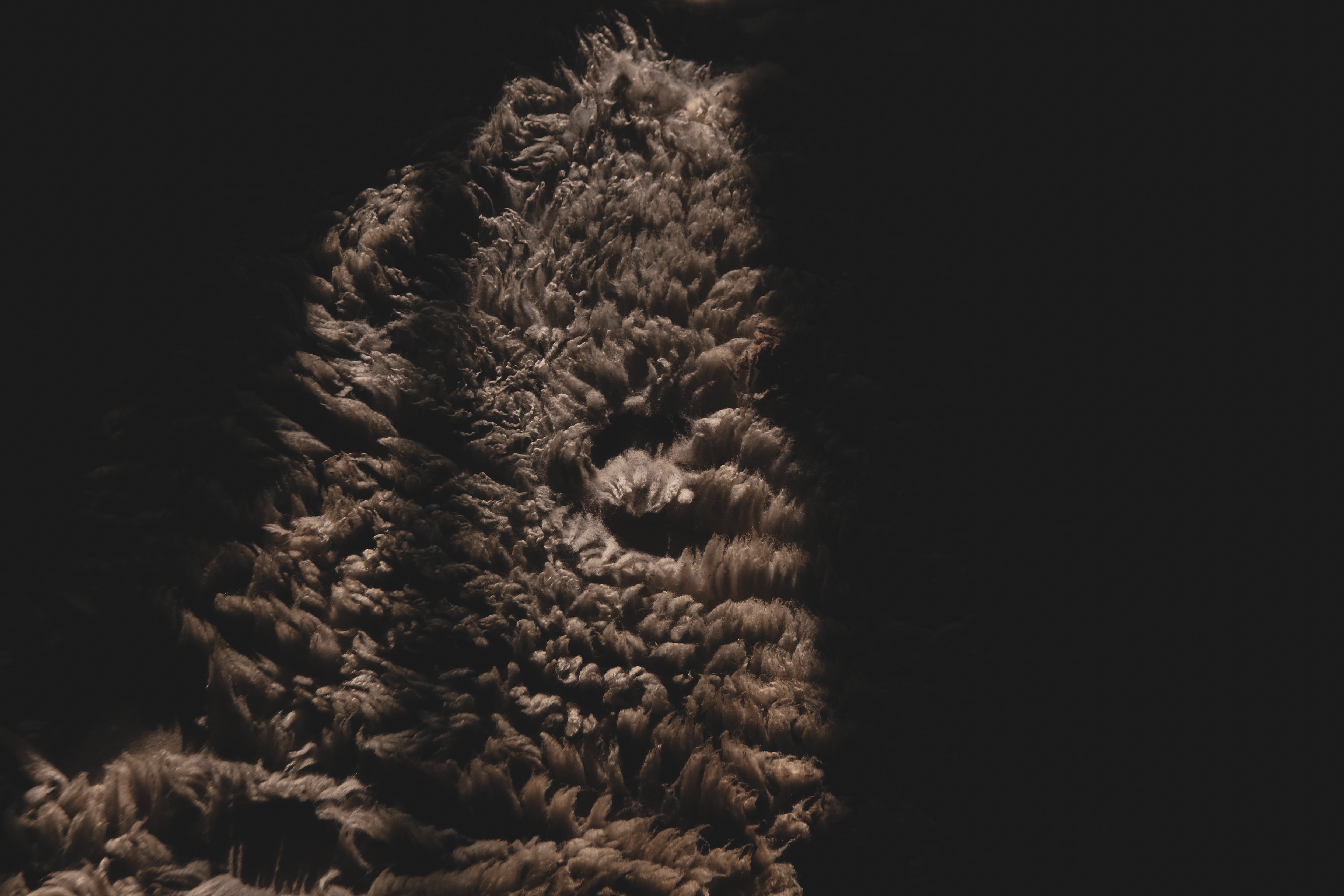 DSCF9603-2.jpg